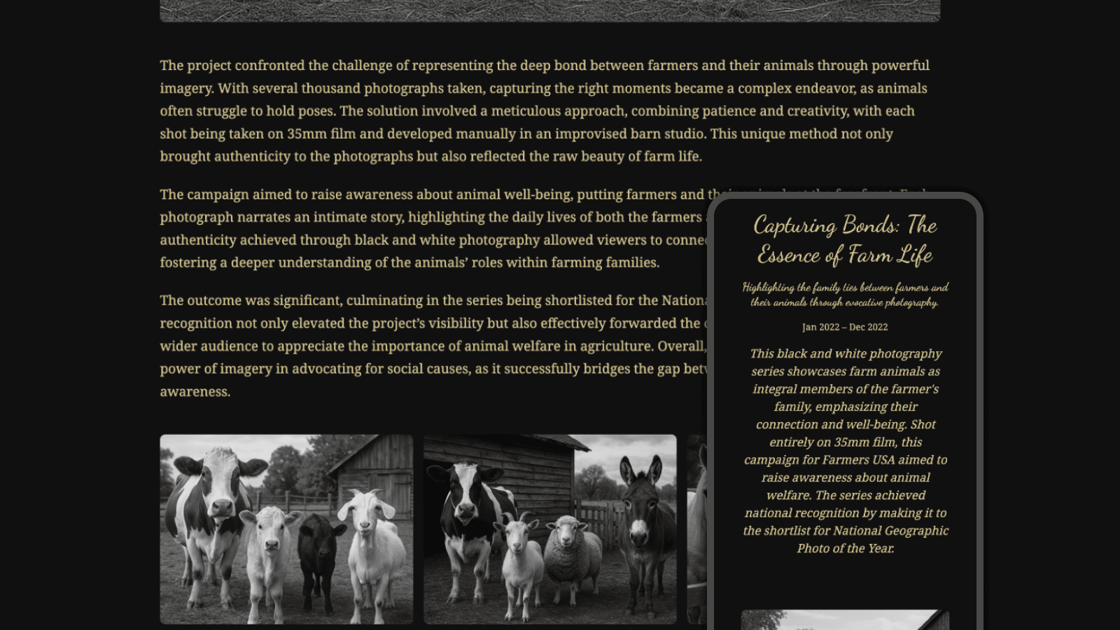 Architecture portfolio example